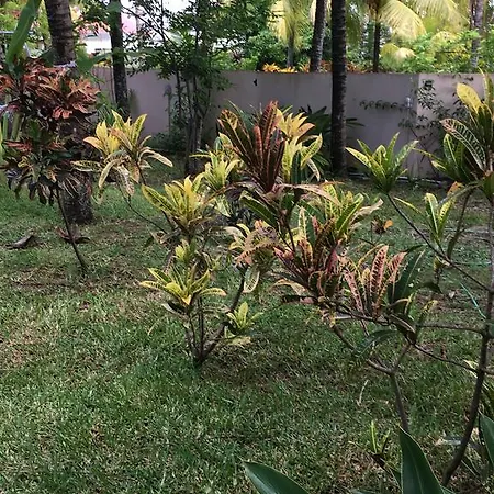Lotus Apartments Pereybere Beach Exterior photo